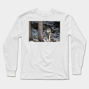 Eastern Gray Wolf  Beside Tree Long Sleeve T-Shirt